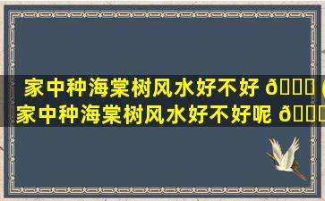 家中种海棠树风水好不好 🐎 (家中种海棠树风水好不好呢 💐 )